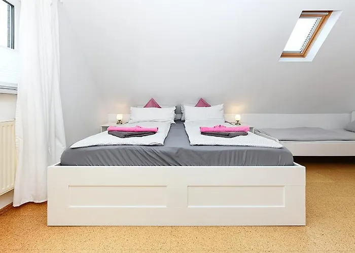 Hohaus ゲストハウス 4*