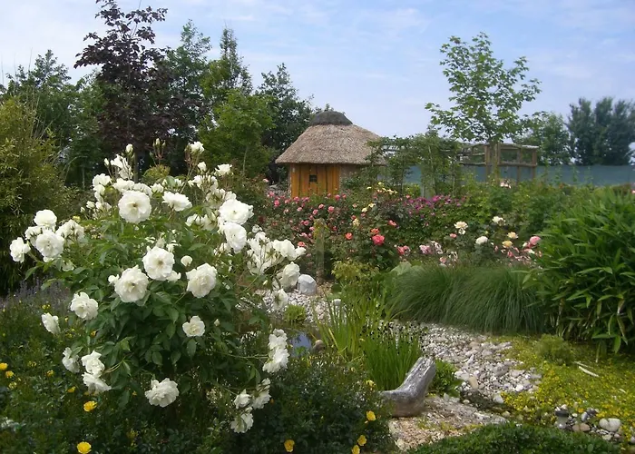 ゲストハウス Hohaus 4*