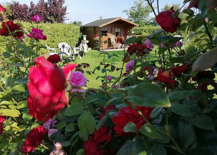 Pensionat Hohaus 4*